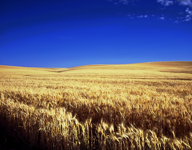 dating apps in kansas