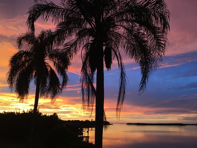 Tampa 