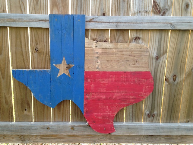 Dating Apps in Texas 