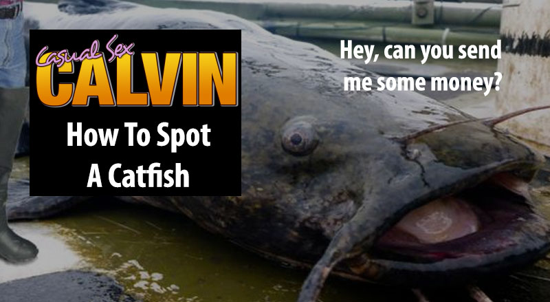 how to spot a catfish